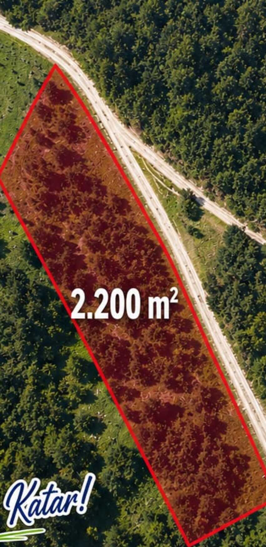 Düzce Yığılca'da Doğayla İç İçe Yatırım Arazisi